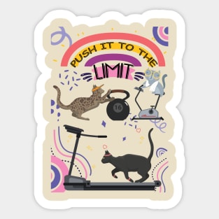 Cats are doing sport Sticker